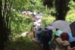 大樹傾倒砸死游客 峨眉山景區(qū)大樹傾倒砸死游客