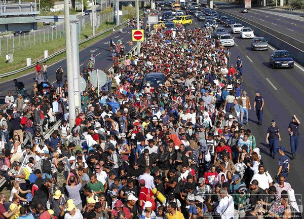 美國回應難民涌入問題