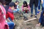 大學保安活埋流浪狗