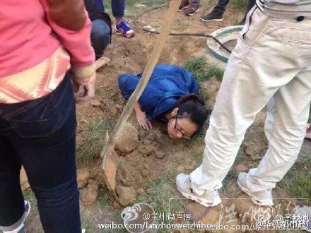 可憐的狗狗幼崽