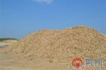山東現曬骨場 山東萊西開發區曬骨場被曝光
