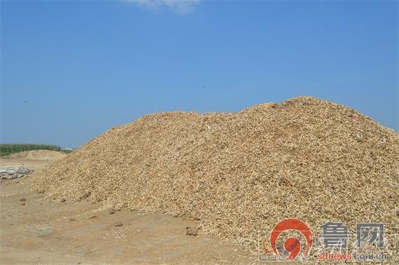 山東現(xiàn)曬骨場現(xiàn)場全是動(dòng)物骨頭