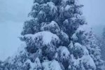 新疆北疆山區(qū)降雪 9月28日新疆北部地區(qū)出現(xiàn)降雪
