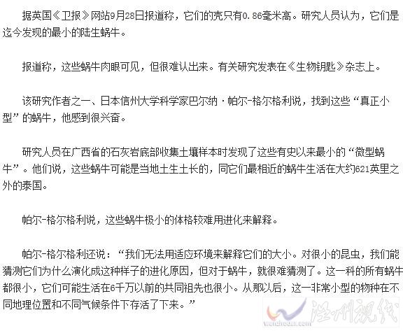 世界最小陸生蝸牛