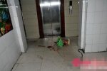 合肥2少年效仿網游殺人練膽
