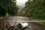 峨眉山大樹傾倒砸死游客