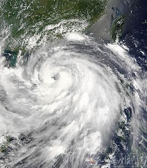 臺風科羅旺最新消息