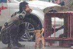 男子將狗糧吃光 該男子可能是精神病患者