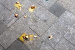 廣場舞大媽擾民 遭遇扔雞蛋如果有特別臭的雞蛋可能