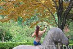 南京女子不文明行為 騎在文物上自拍景區不文明現象