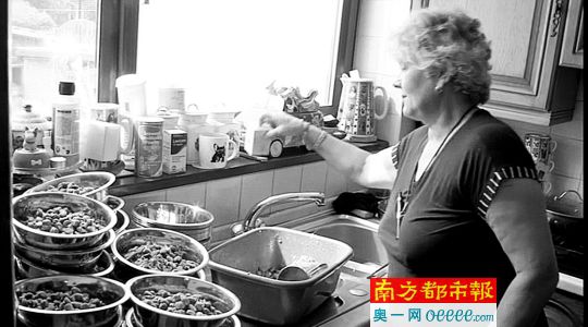英國夫婦養(yǎng)41條狗