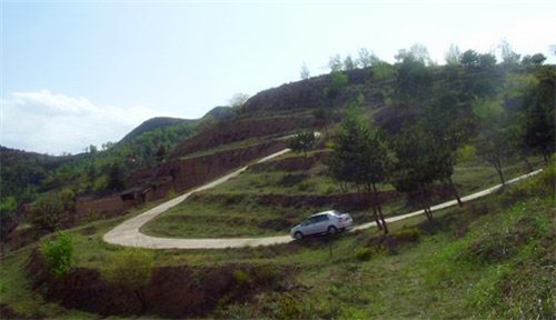 修路直通局長祖墳