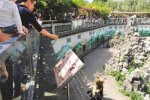 節(jié)假日動物園投食嚴重不文明行為成普遍現(xiàn)象