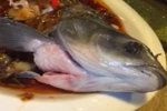 廣州餐館現僵尸魚 煮熟了還會動