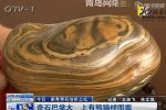 撿奇石有熊貓圖案 看起來熊貓圖案不是很明顯