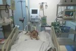 房妹爆料人遭襲致顱骨骨折