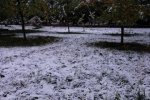 溫州的天氣還穿短袖呢 新疆北部下大雪暴雪了