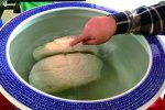 青島城陽老人挖出雪白太歲賣了50萬元