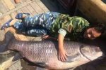 千島湖捕獲180斤青魚王長175公分 網(wǎng)友大呼放生