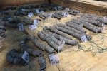 千年西漢古墓出土 挖出10噸銅錢