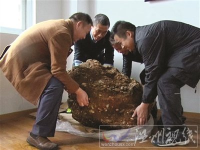 南京市民挖到一個(gè)金陵神罐