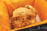 直立人頭骨化石 華龍洞遺址發現直立人化石