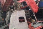 平頂山高速追尾車禍 平頂山許平南高速多車相撞