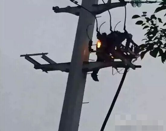女友吵架男子爬上高壓電線(xiàn)桿觸電
