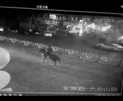 溫嶺市區(qū)一男子騎黑馬逆行被寶馬車(chē)撞飛 溫嶺不是溫州