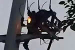 男子吵架爬電線桿觸電嚴重燒傷