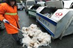 武漢農(nóng)民街頭賣棉花被城管燒掉