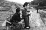 劉亦菲扮村姑被贊村花