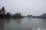 杭州下雪了 12月5日杭州市區開始下雪了
