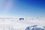 冷空氣來(lái)襲北方風(fēng)雪 2015年12月14日至16日南方將濕冷