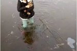 學(xué)生跳冰湖救野兔有愛心值得點(diǎn)贊但行為很傻