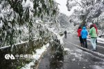 臺灣凍死10人 2016年寒潮臺灣凍死16人