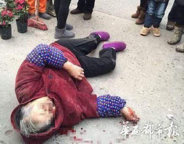 幼童駕車撞傷老太