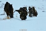 中東部迎大范圍雨雪 2月10日至14日我國中東部有大范
