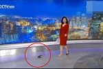 央視主播掉鞋淡定主持