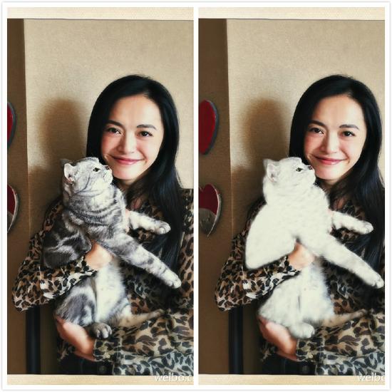 姚晨曬照懷抱貓咪