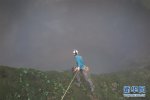 廣西現420米天坑 地下洞穴長16.5公里