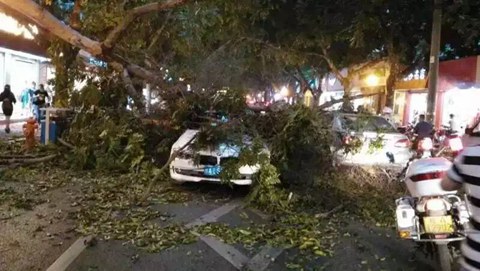 廣西強對流天氣 13年來最大范圍冰雹災(zāi)害