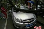 云南大風(fēng) 4月19日云南多地遭遇大風(fēng)天氣