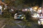 廣西強(qiáng)對(duì)流天氣 13年來(lái)最大范圍冰雹災(zāi)害