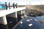 河道現40頭死豬 河道已遭污染