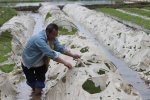 永州市道縣下冰雹 大風暴雨冰雹災害農作物和民房受