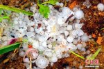 宜昌冰雹 4月29日湖北宜昌市夷陵區樟村坪強對流天氣