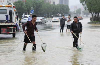 永州道縣暴雨 市民馬路上捕魚
