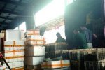 死蝦被稱腦死亡 仙桃“外婆家”食品加工廠