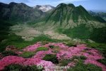 地震科普知識 我國每天有地震災害地震極少